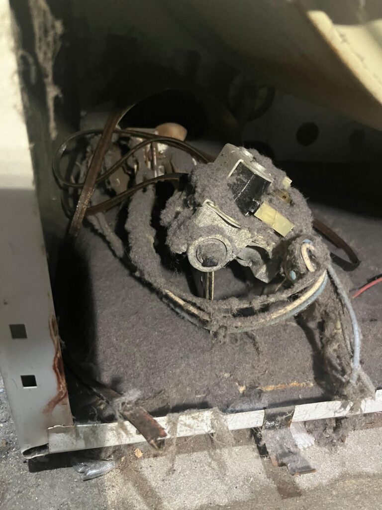 WhatsApp Image 2025-12-01 at 20.55.55 (3)